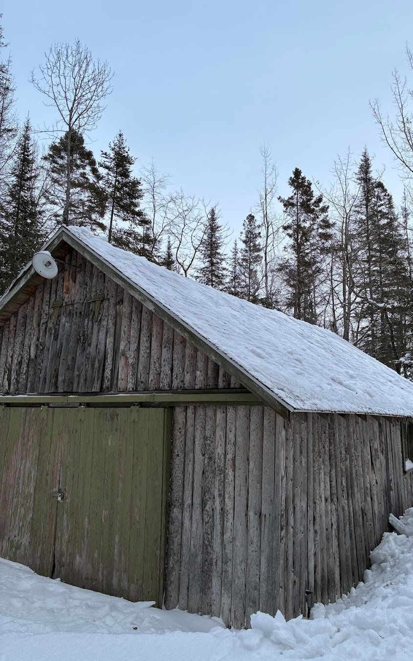 Snow-covered wooden cabin in a forest clearing with tall trees in the background