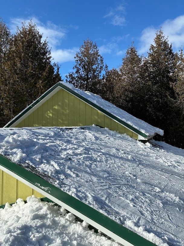 Snow-covered green roof under a blue sky, with tall evergreen trees in the background
