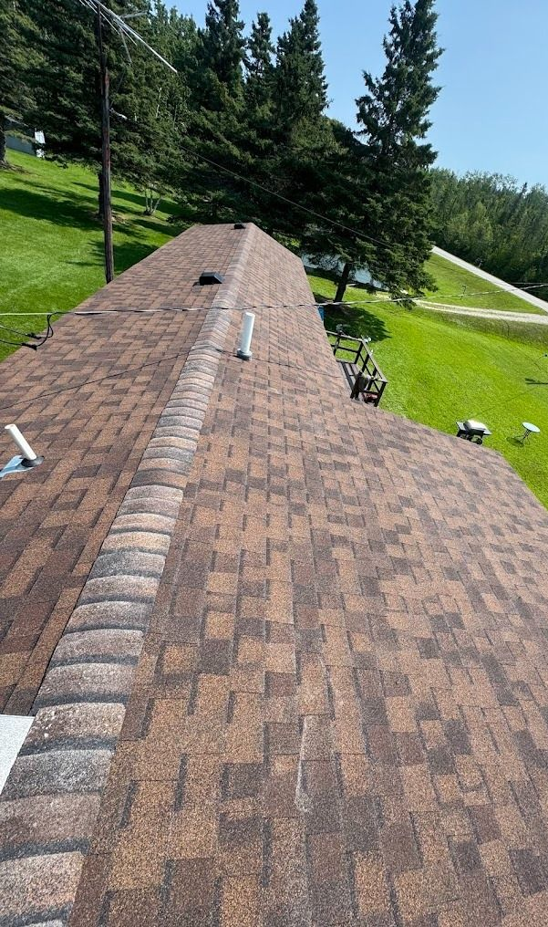 View from a shingled rooftop with vents, overlooking green lawn and tall evergreen trees on a sunny day