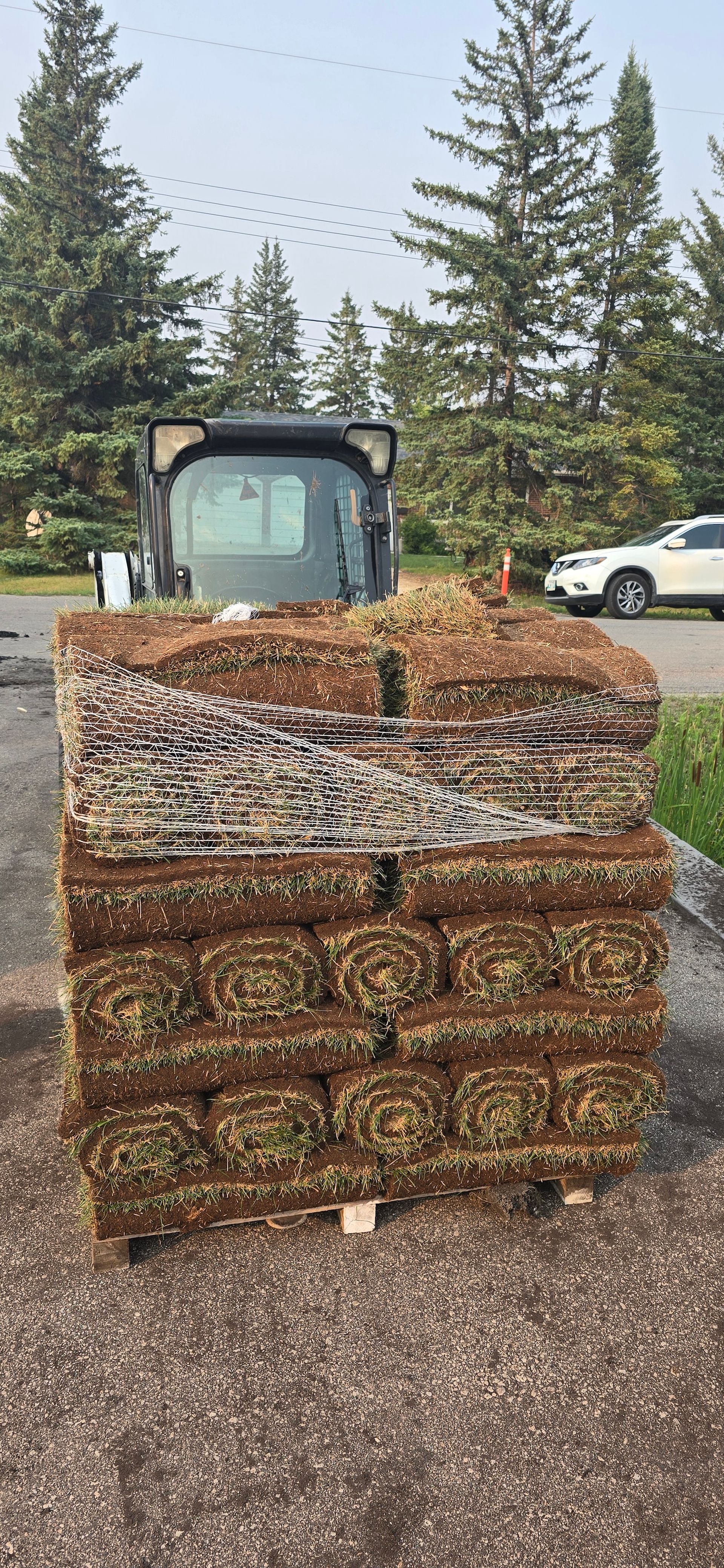 A skid steer loader sits behind a large pallet stack of brown, harvested grass sod rolls in an outdoor area.