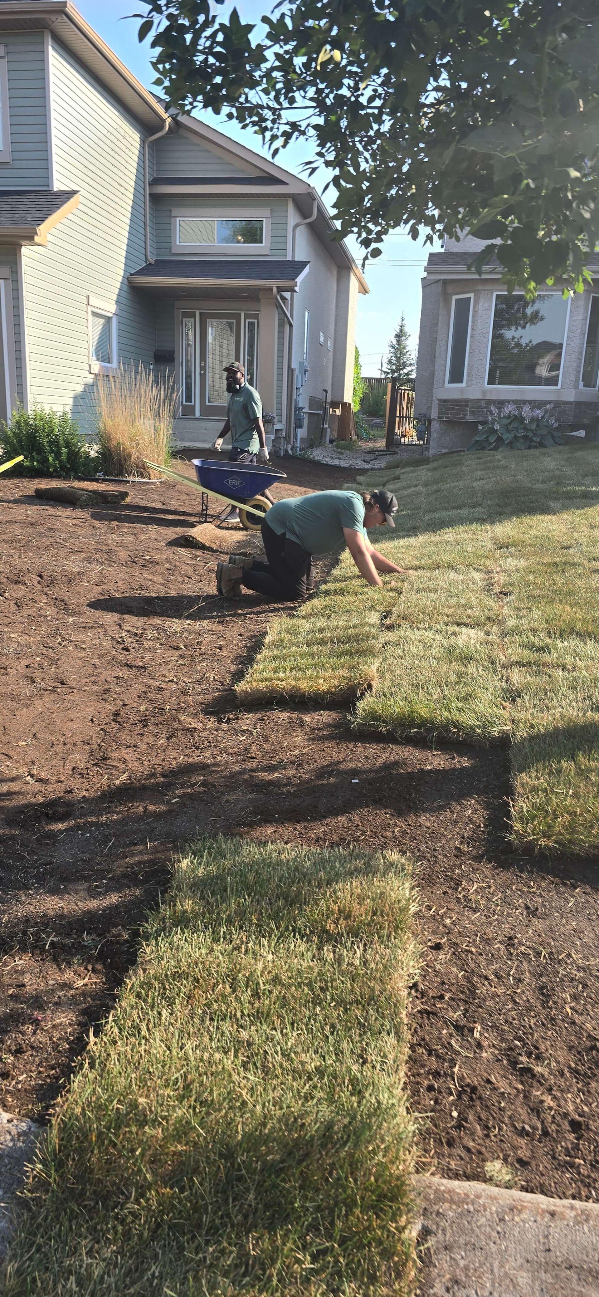 Two people laying sod in front of a house. The person closest is placing the sod. Mulch covers the surrounding area.