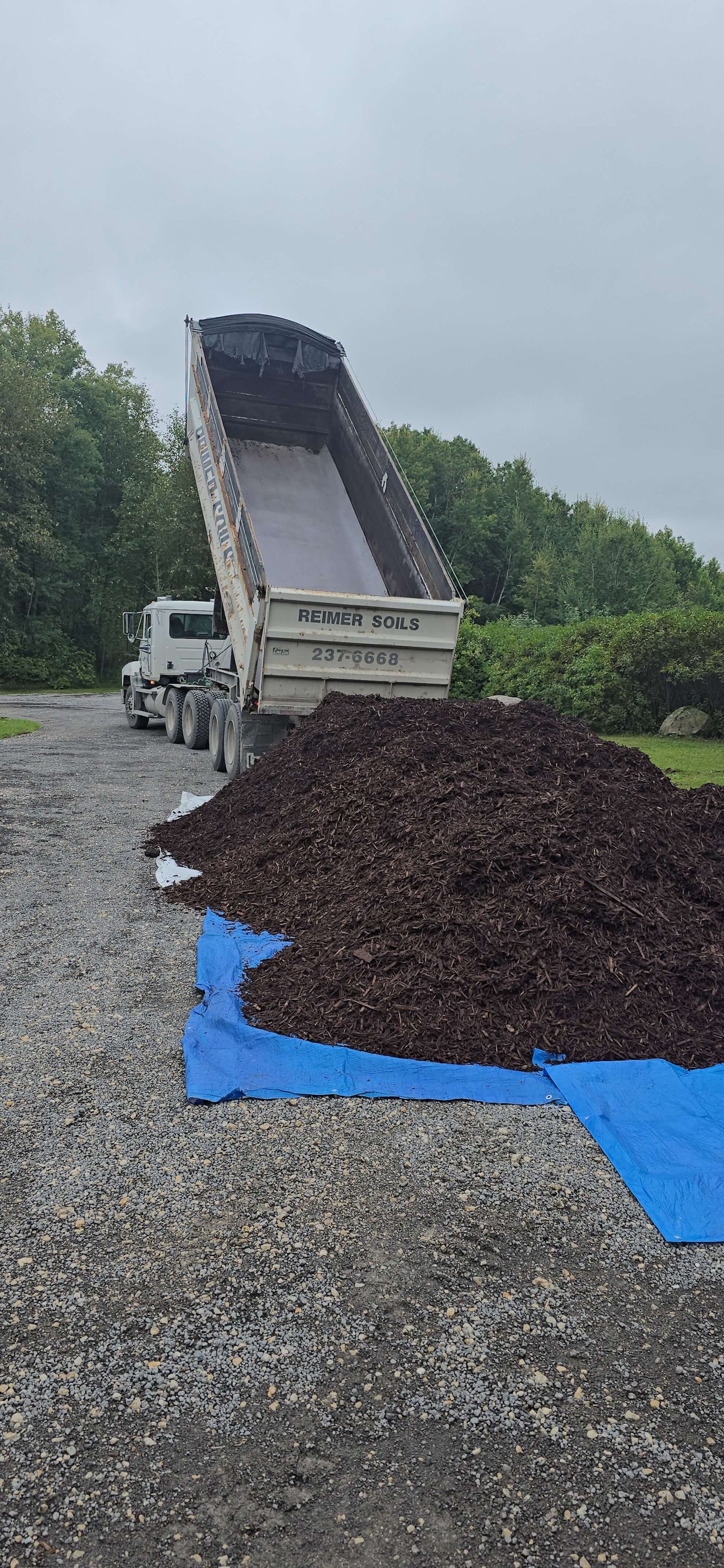 A dump truck unloading dark material onto a blue tarp on a gravel surface. Green trees are in the background.