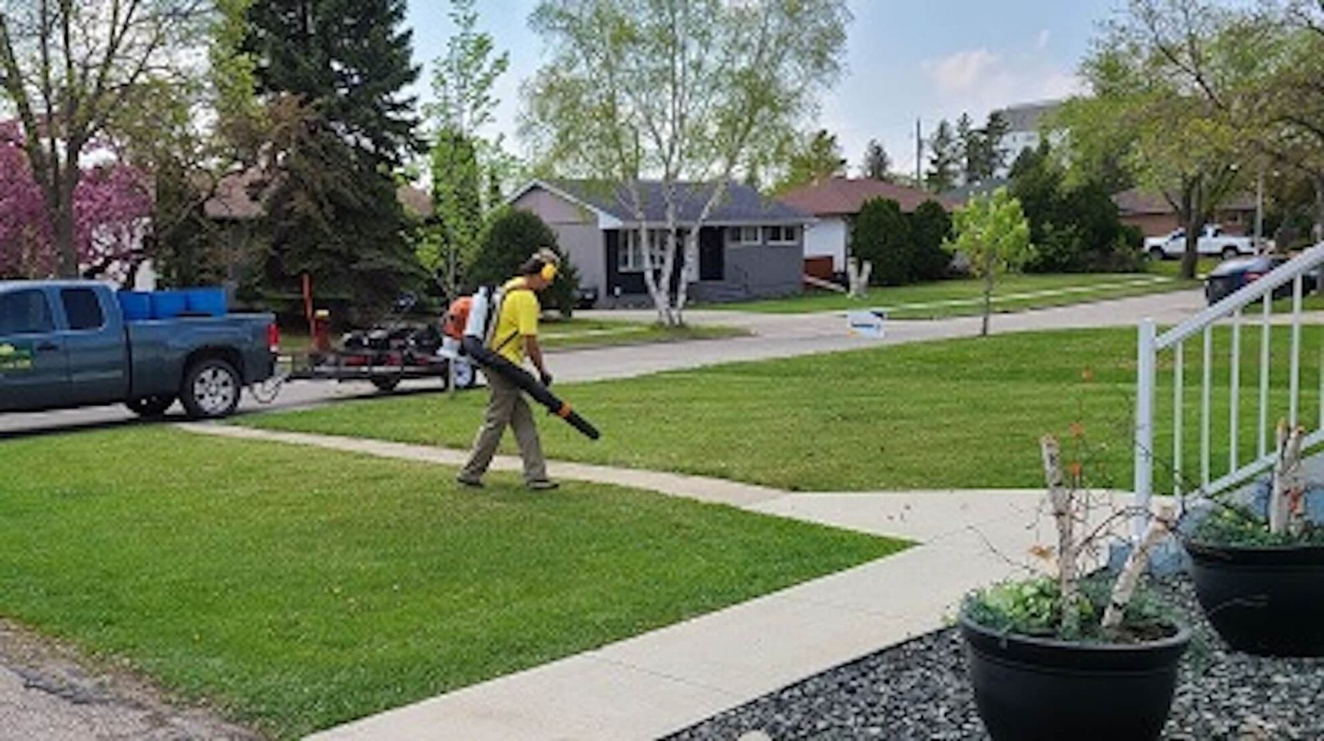 Person using a leaf blower on a green lawn in a suburban neighborhood.
