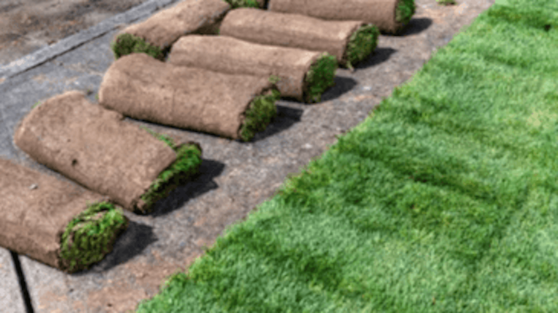 Rolls of sod next to freshly laid turf on a concrete surface.