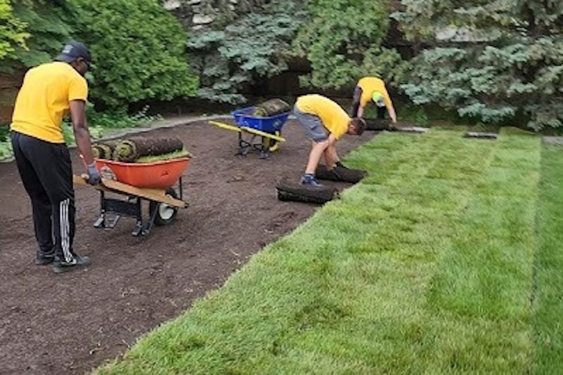 Sod Tear-Out & Replacement