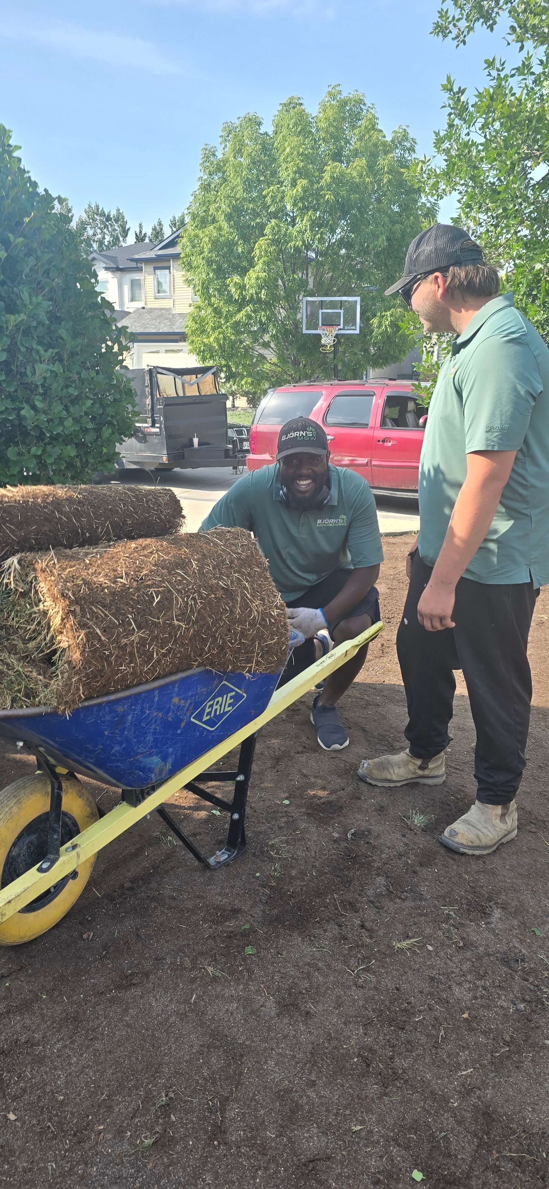 Two people loading mulch into a wheelbarrow outdoors on a sunny day.