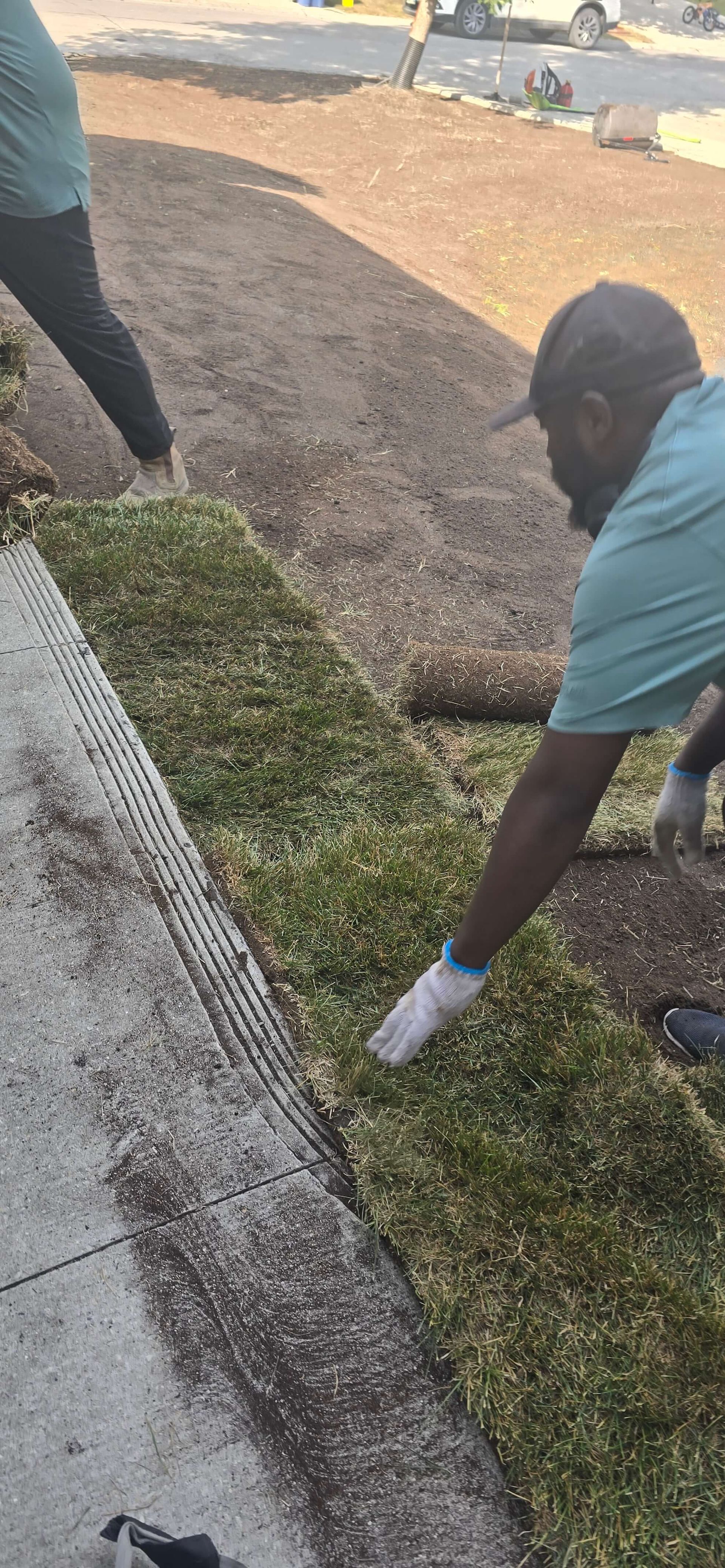 Two people in light-colored shirts laying rolls of sod on prepared soil along a concrete sidewalk.