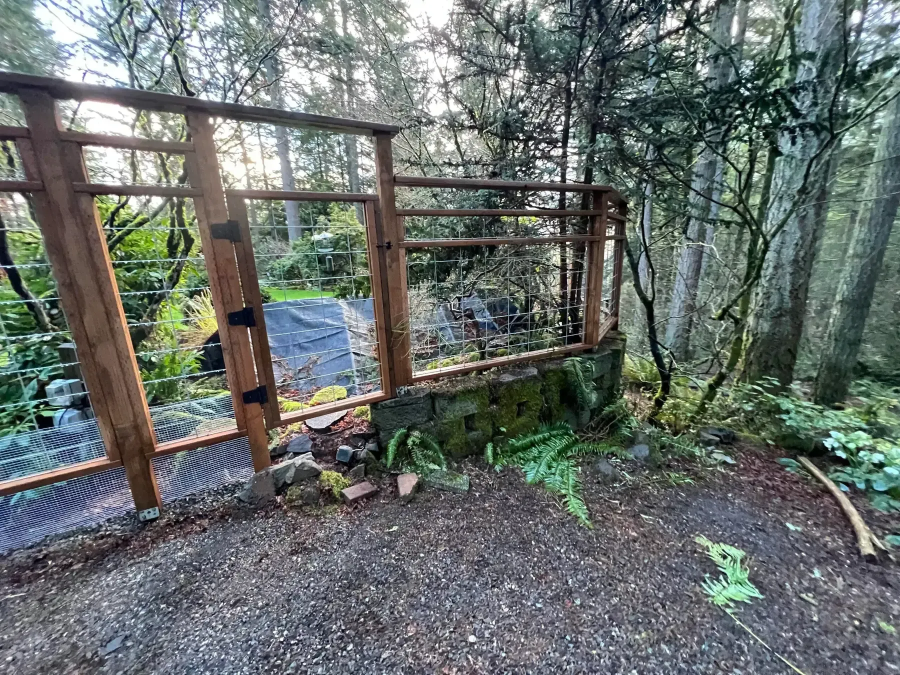 Rusty metal gate at a forest trail entrance beside a gravel path and trees
