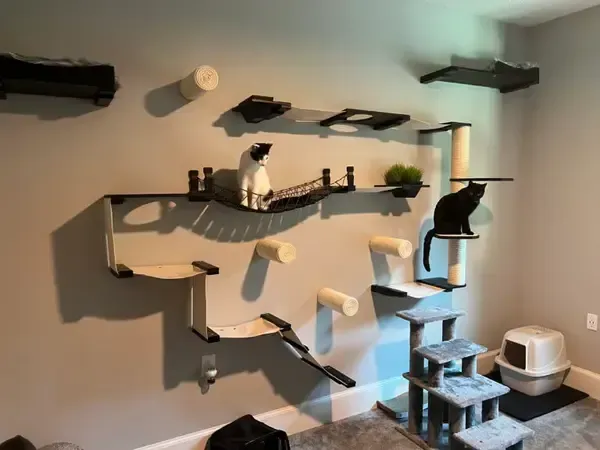 Modern cat wall play area with shelves, steps, and two cats resting on a light gray wall.