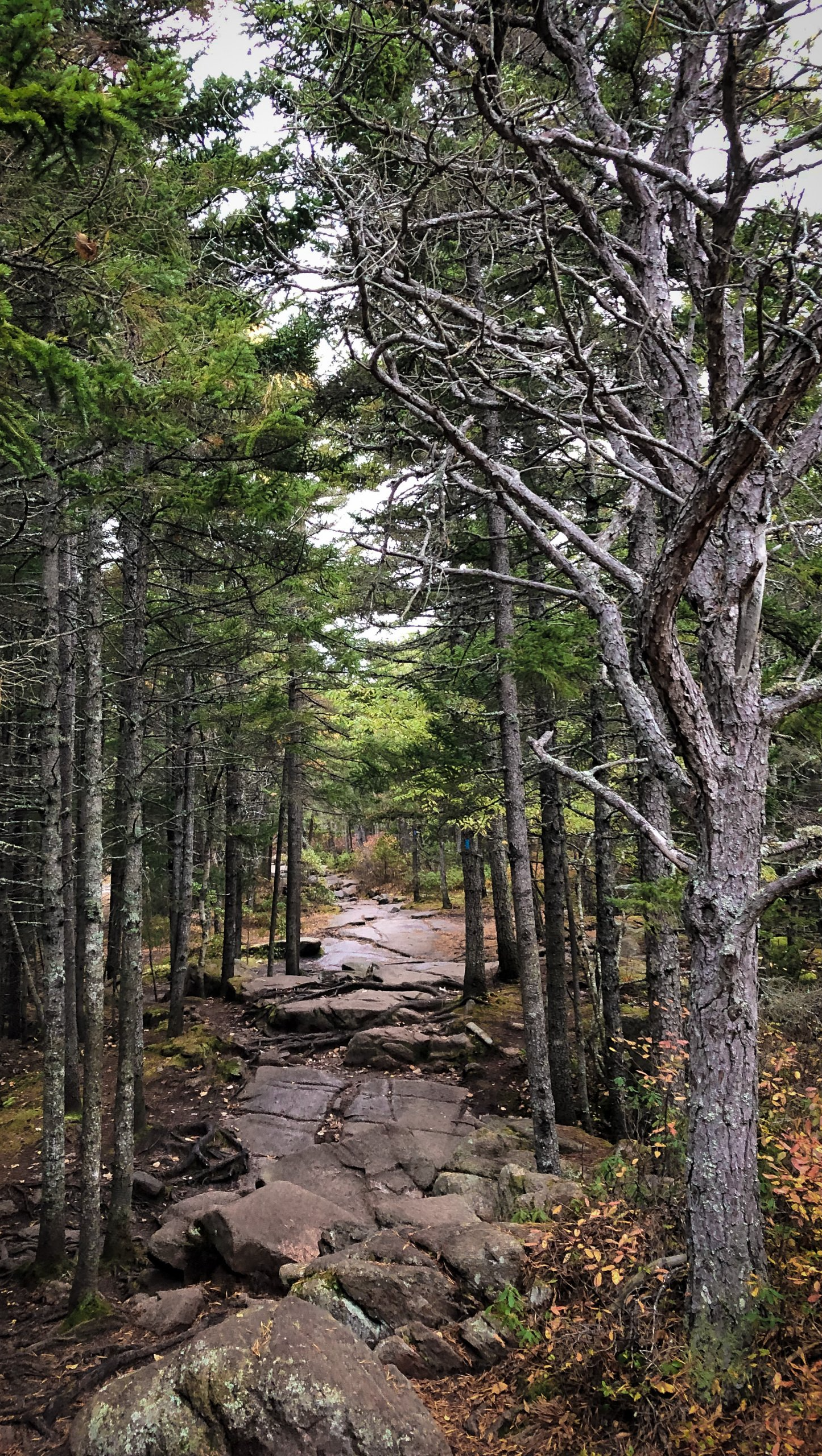 Hills State Park