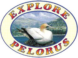 Explore Pelorus Sea-Kayaks - Logo