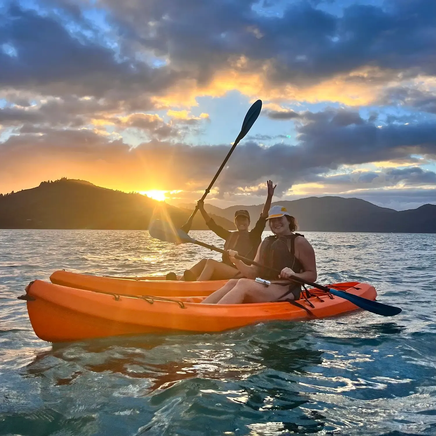 What to See & Do in the Pelorus Sounds in Marlborough, NZ