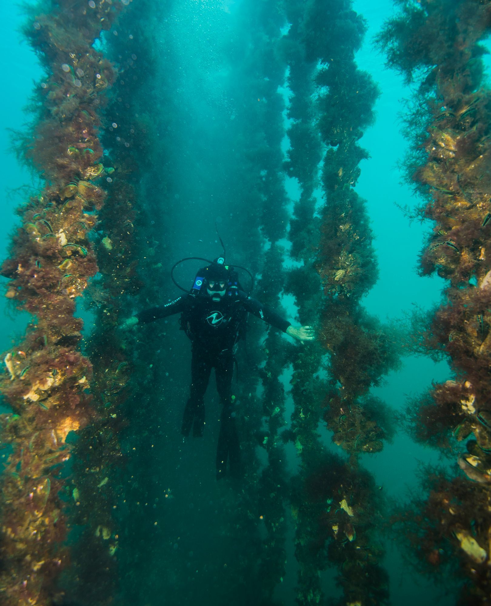 The Story of the Pelorus Region