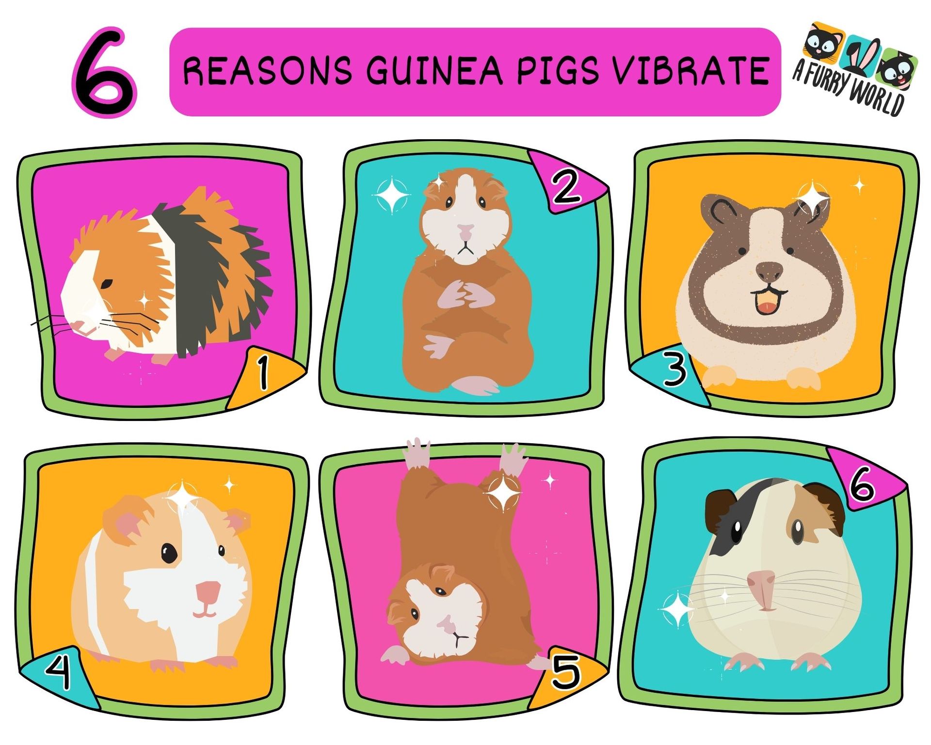 Why Do Guinea Pigs Vibrate?