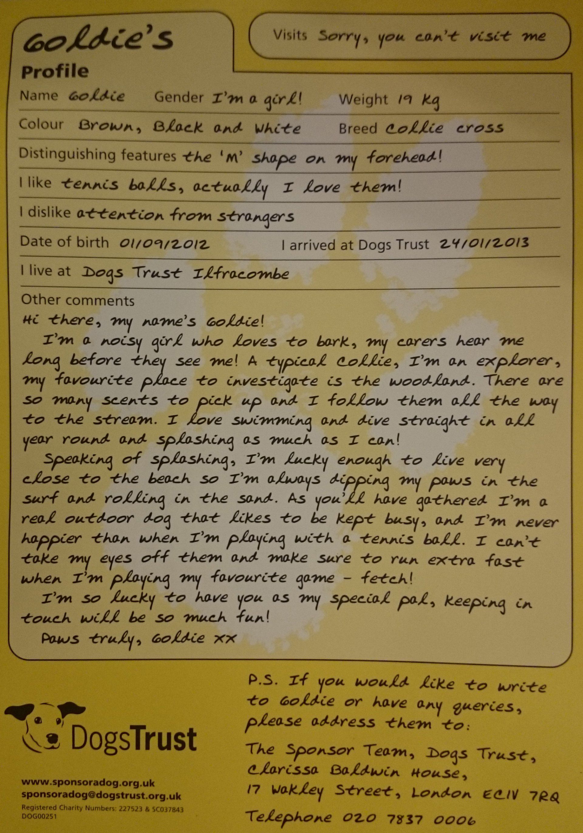 Charity Dogs Trust - Ty