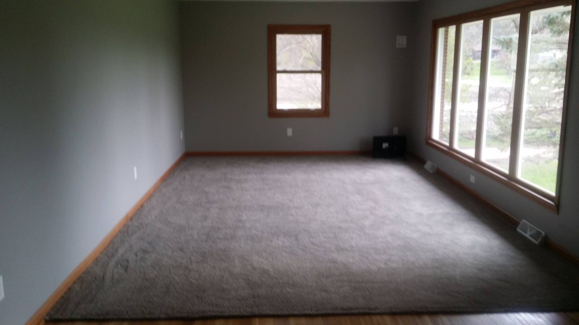 An empty living room with a large rug and lots of windows