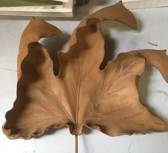 Foglia secca marrone con bordi lobati su una superficie chiara, mostrata in primo piano.