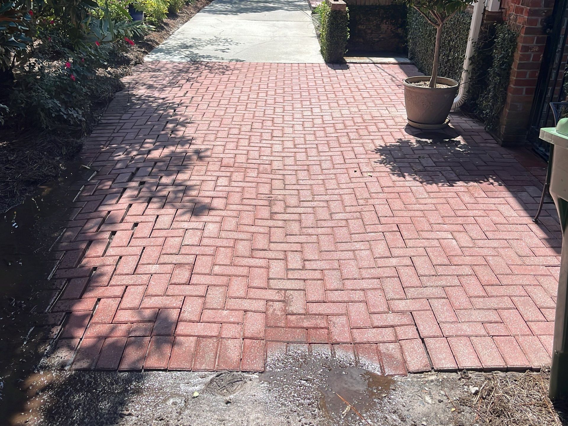 a brick walkway with a potted plant in the middle
