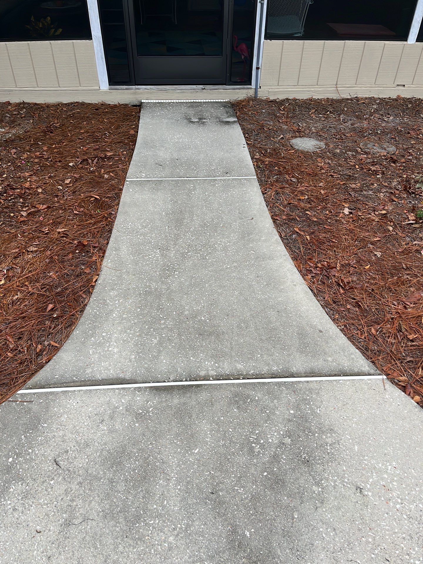 A concrete walkway leading to a building with leaves on the ground.