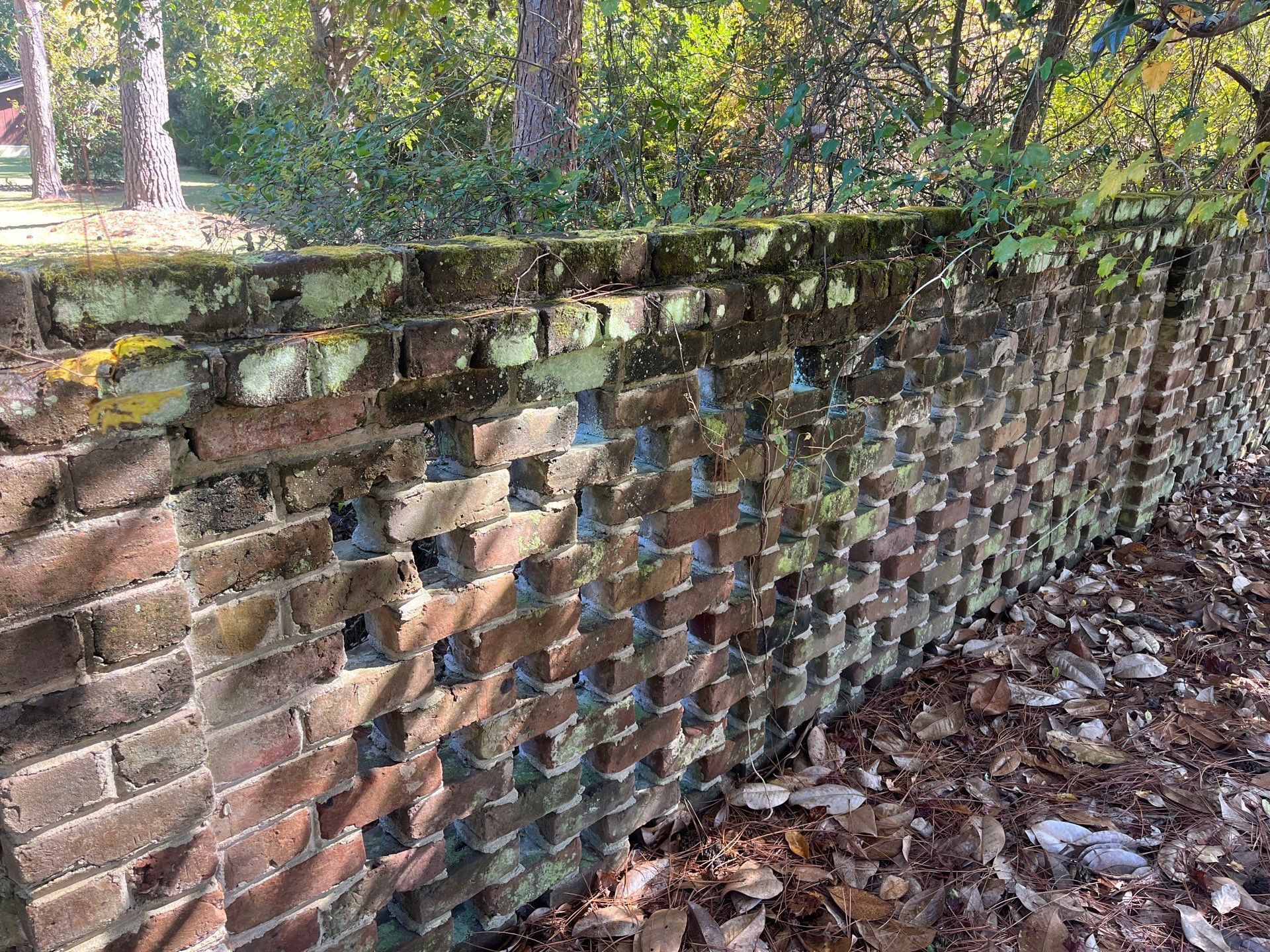 A brick wall with holes in it is surrounded by trees and leaves.