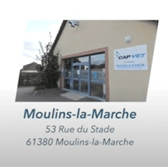 Cliquez pour découvrir la clinique Clinique vétérinaire Capvet moulins-la-marche