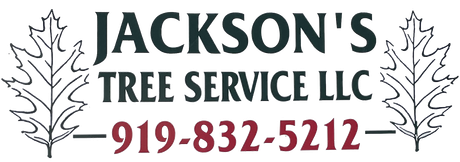 Jackson's Tree Service LLC Jackson's Tree Service LLC