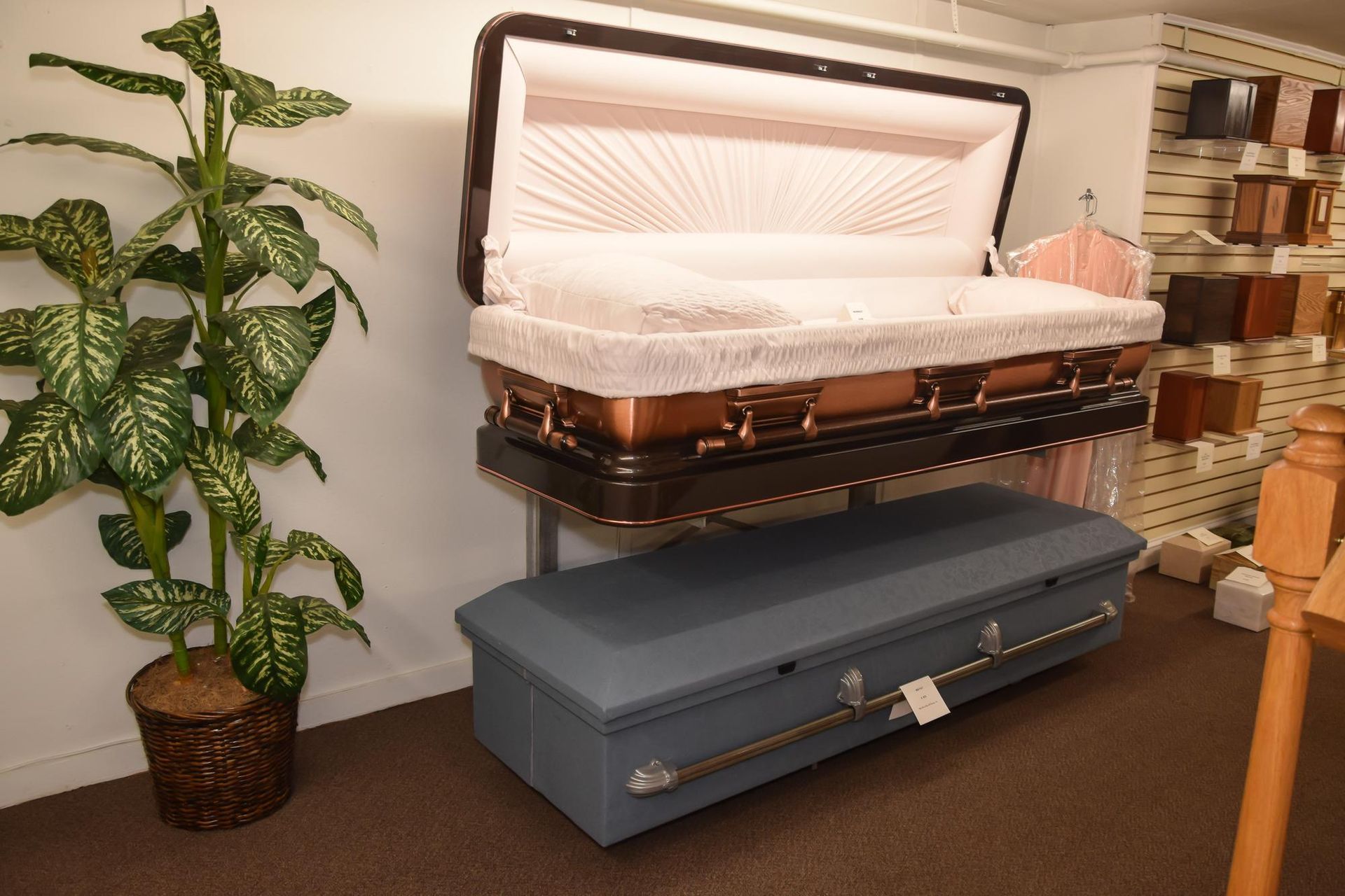 Display of two open caskets in a showroom, one white and one blue, beside a potted plant