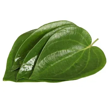 Een bos groene bladeren op een witte achtergrond