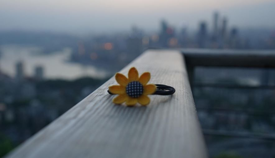 Yellow flower hair clip on a wooden railing with blurred city skyline, Willow Park, TX grief support