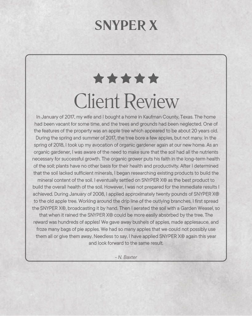 A page of a book titled snyper x client review