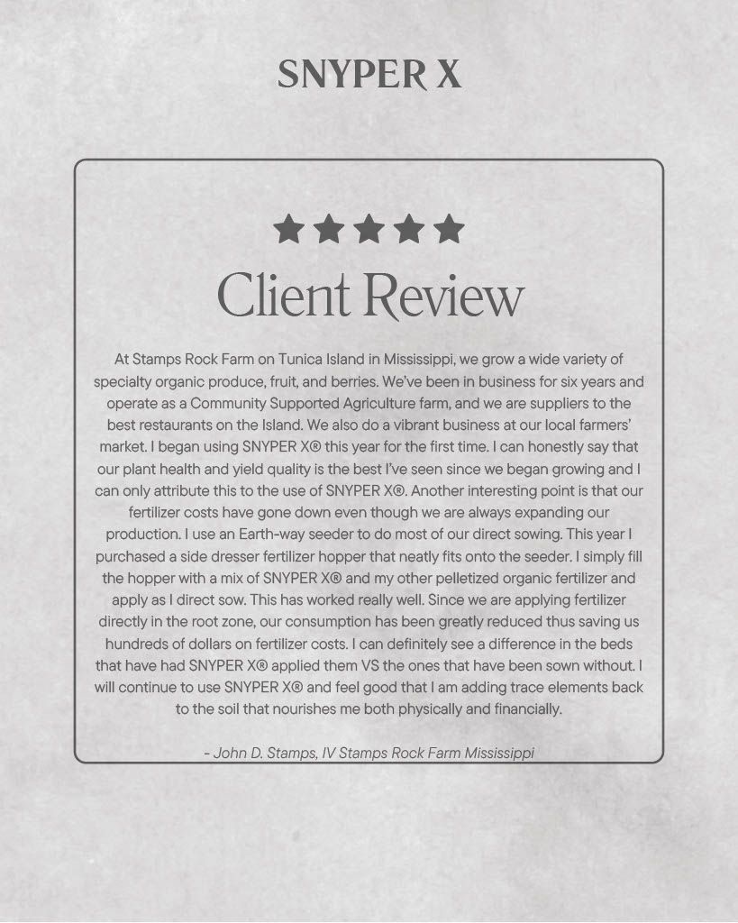 A client review is written on a piece of paper