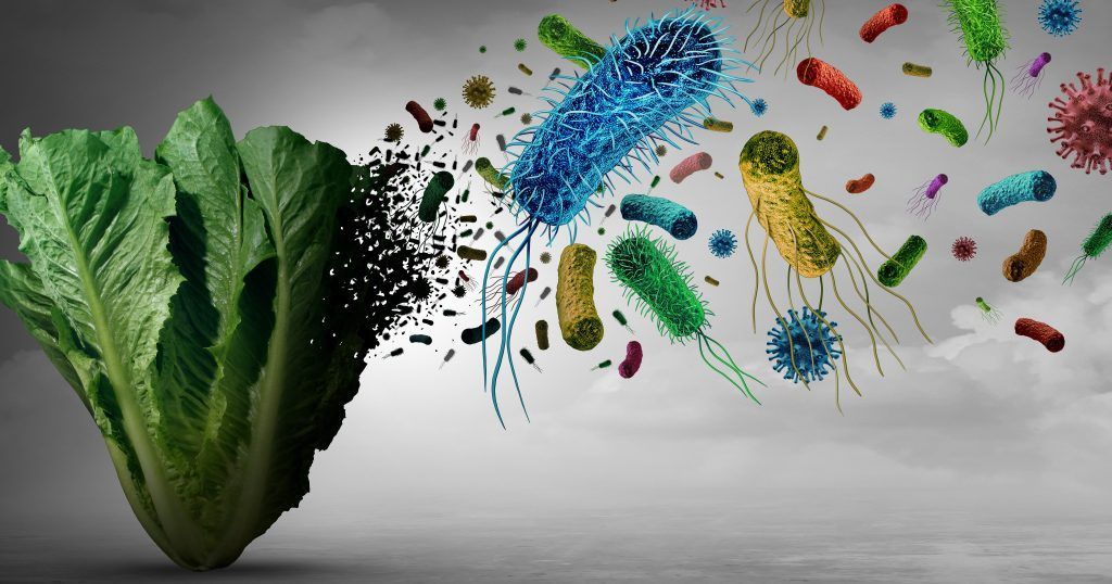 A lettuce leaf with bacteria coming out of it.