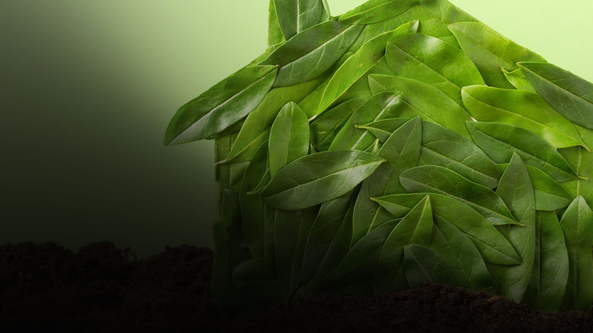 House silhouette made of green leaves, set against a gradient green background.