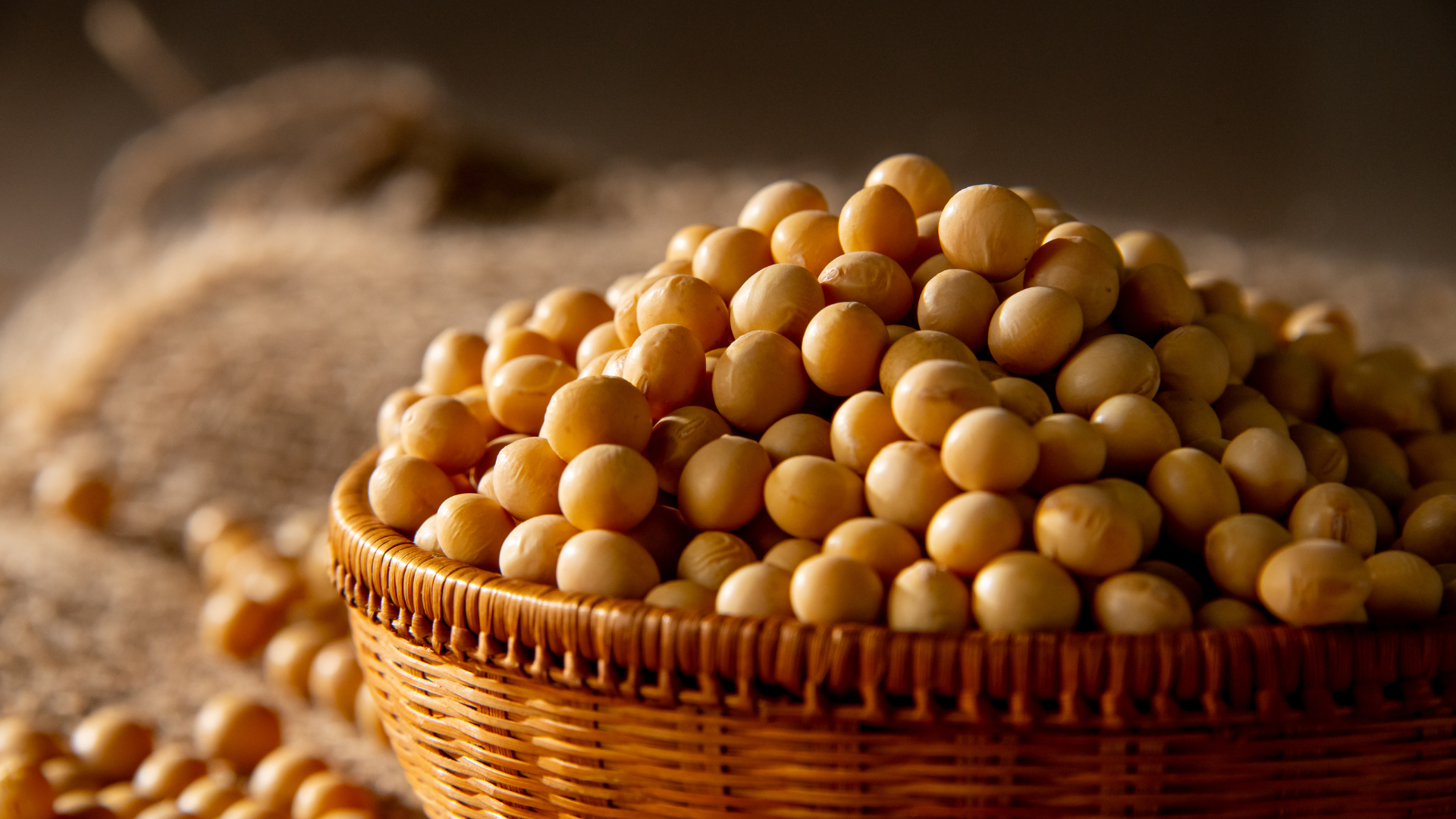 Pile of light-brown soybeans spilling out of a woven basket.