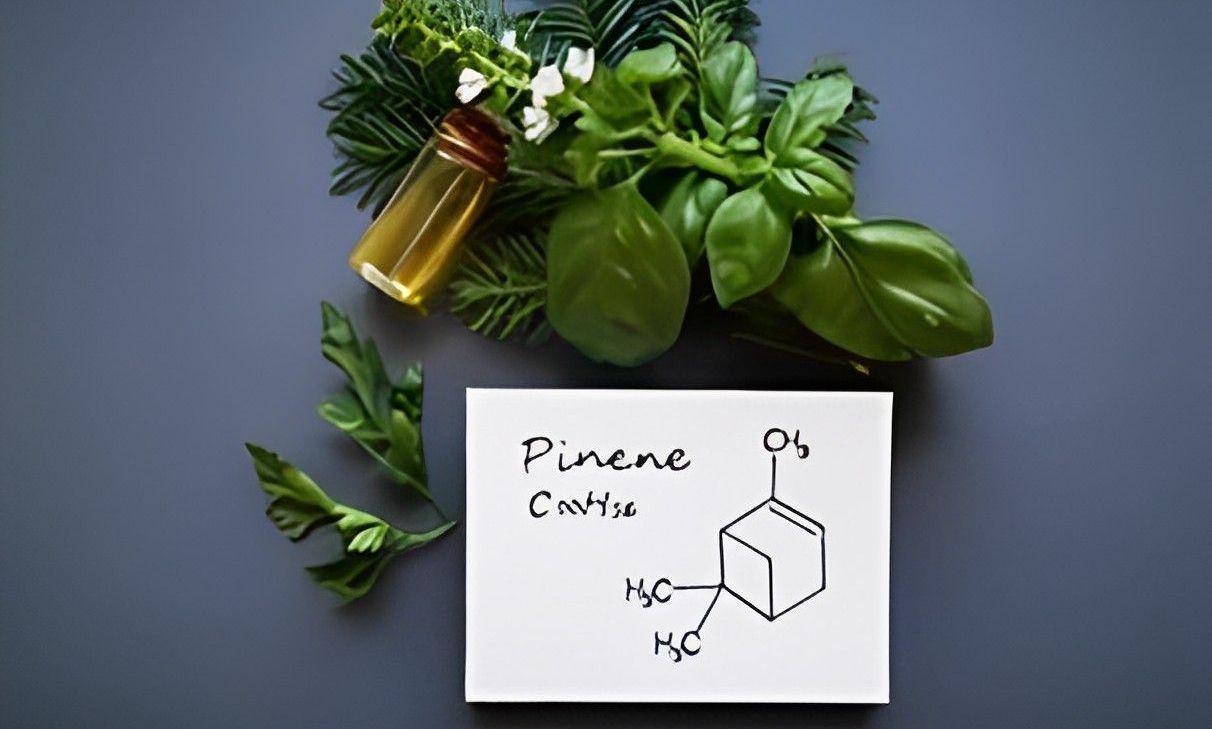 Bottle of oil, green herbs, and a card with the chemical structure and formula of pinene, on a gray surface.