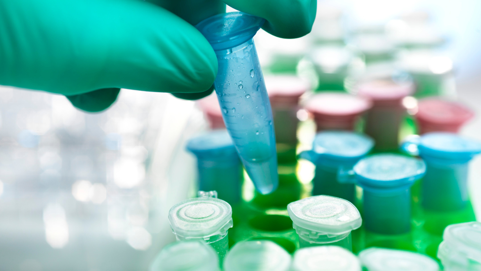 A person is pouring liquid into a test tube in a laboratory.