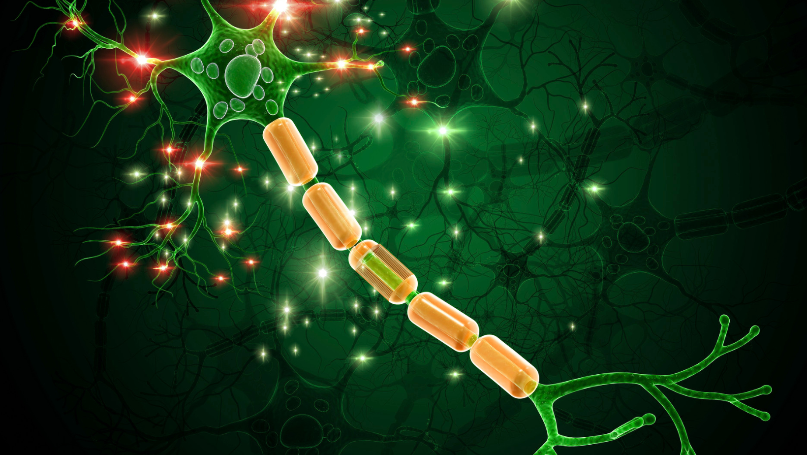 A close up of a nerve cell on a green background.