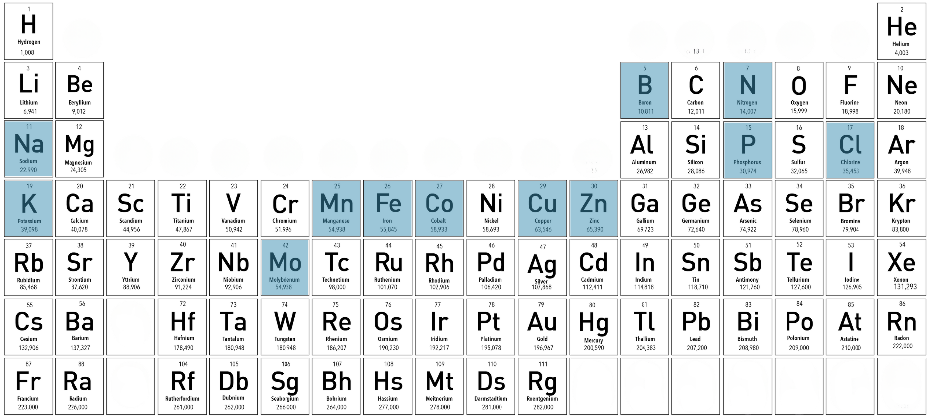 Periodic table highlighting several elements, including Na, K, B, C, N, O, P, Cl, Mn, Fe, Co, Ni, Cu, Zn, and Mo.