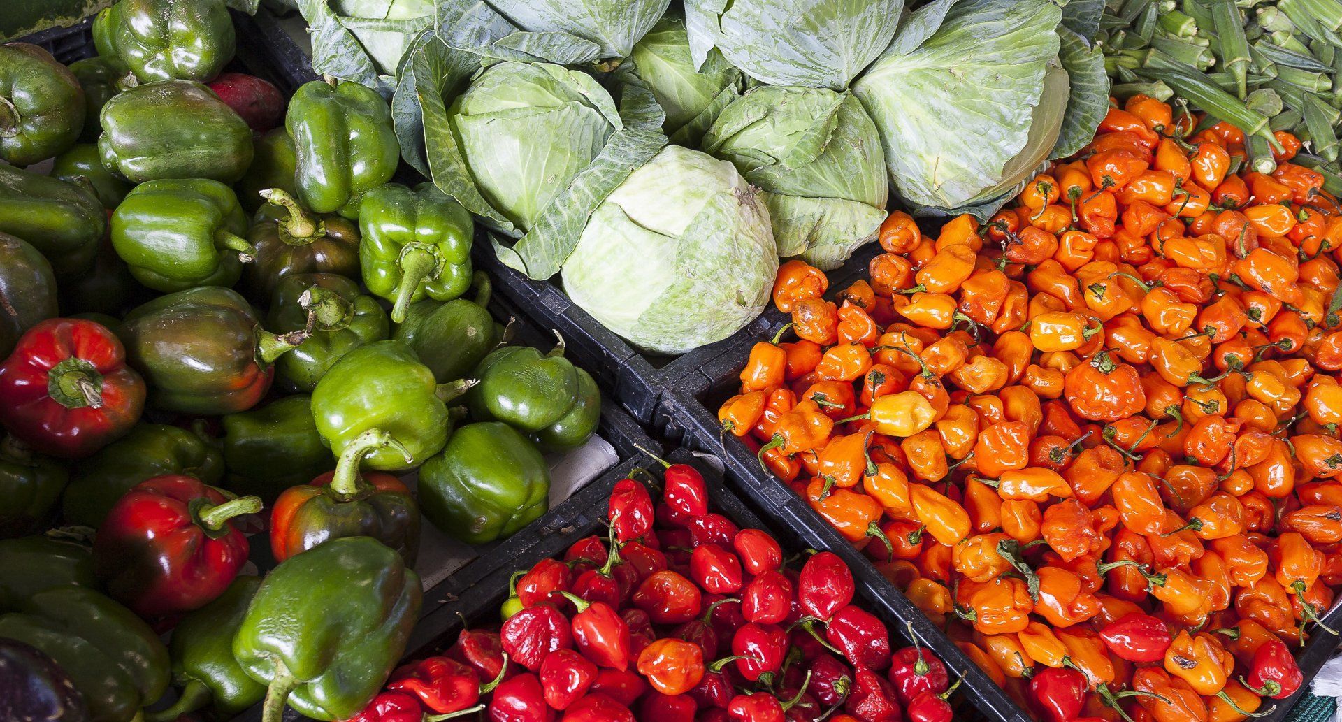 Display of fresh produce: green peppers, cabbages, and orange and red tomatoes.