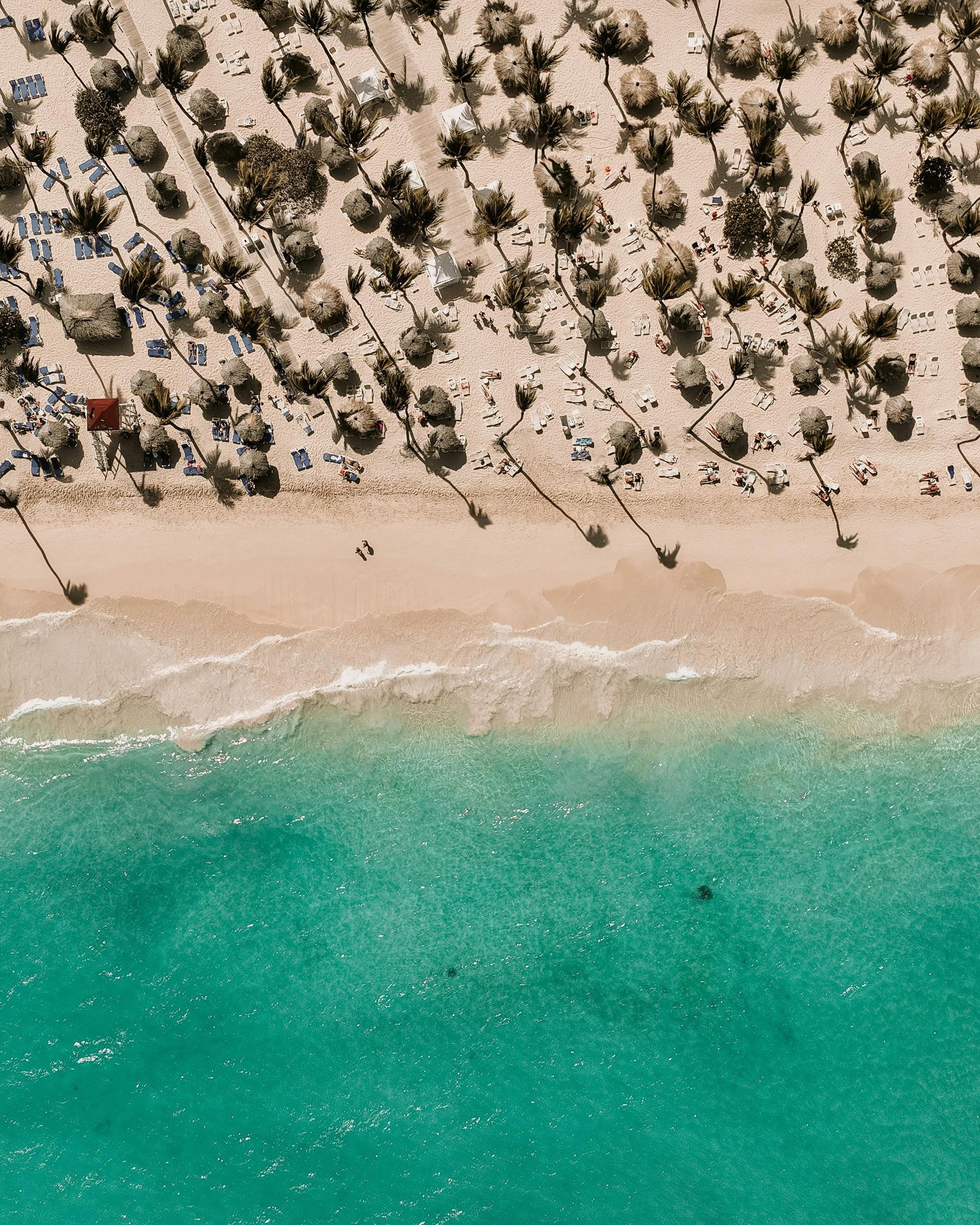 Aerial view of turquoise water meeting a sandy beach lined with palm trees