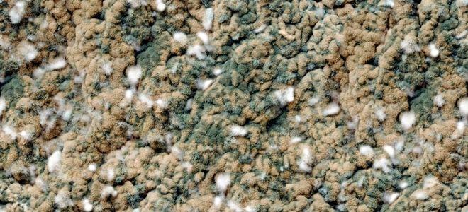 Mold Remediation