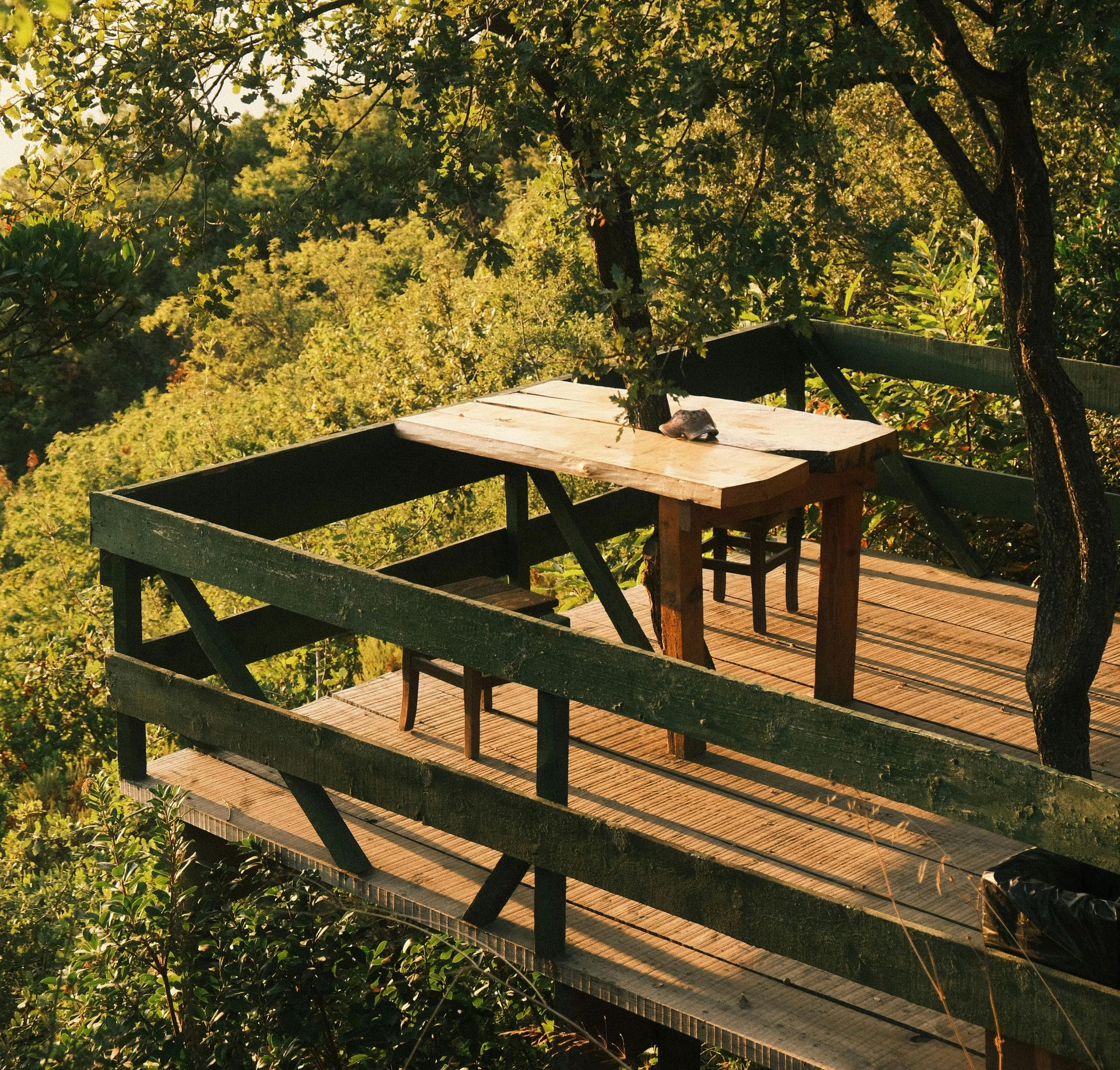 Wooden deck with table and benches among trees in warm sunlight
