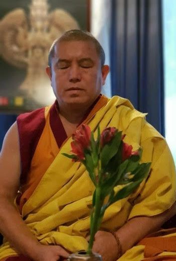 Een boeddhistische monnik in traditionele geel-rode gewaden zit in meditatie met gesloten ogen, met rode bloemen op de voorgrond.