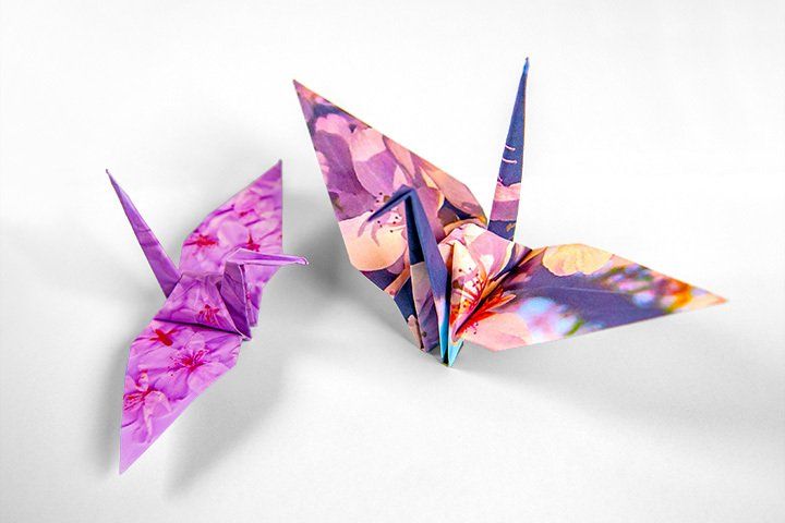 Twee origami-kraanvogels gemaakt van paars papier met bloemenpatroon op een effen witte achtergrond.