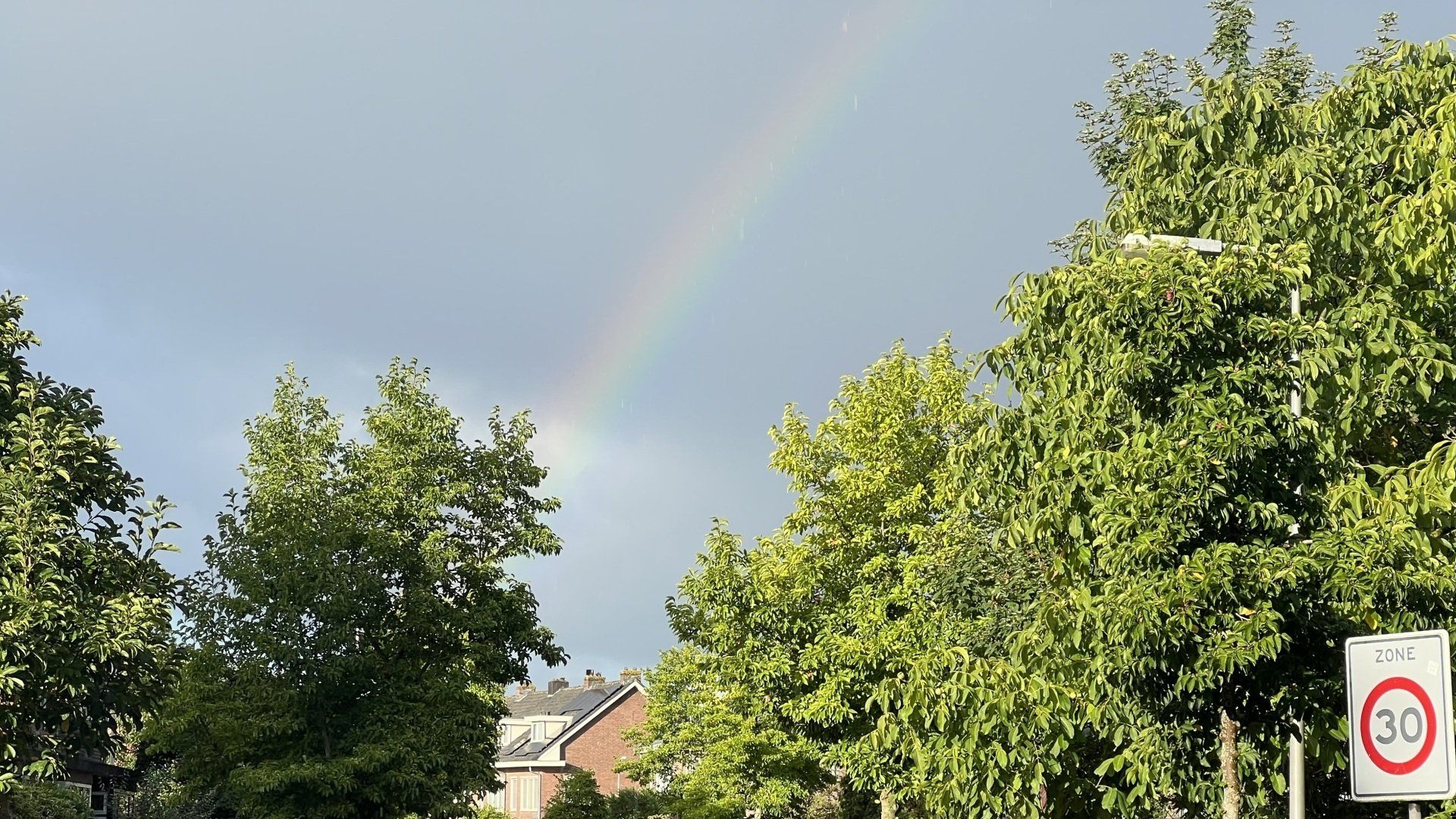 Een zwakke regenboog strekt zich uit over een bewolkte hemel boven bomen in een buitenwijk en een verkeersbord met een snelheidslimiet van 30 km/u.