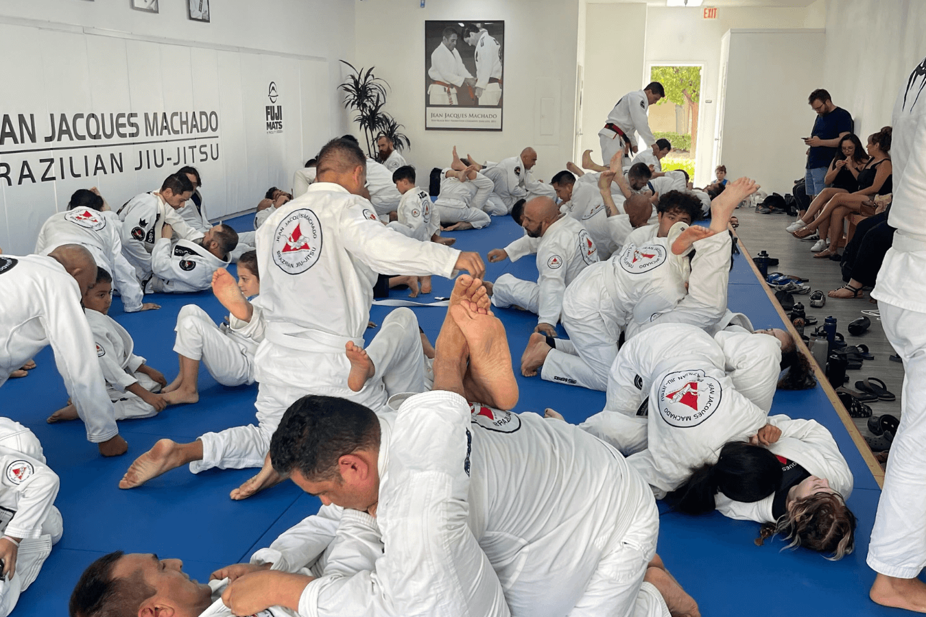 Adults drilling Brazilian Jiu-Jitsu at Jean Jacques Machado Jiu-Jitsu Fresno in Fresno, CA to build energy and confidence.