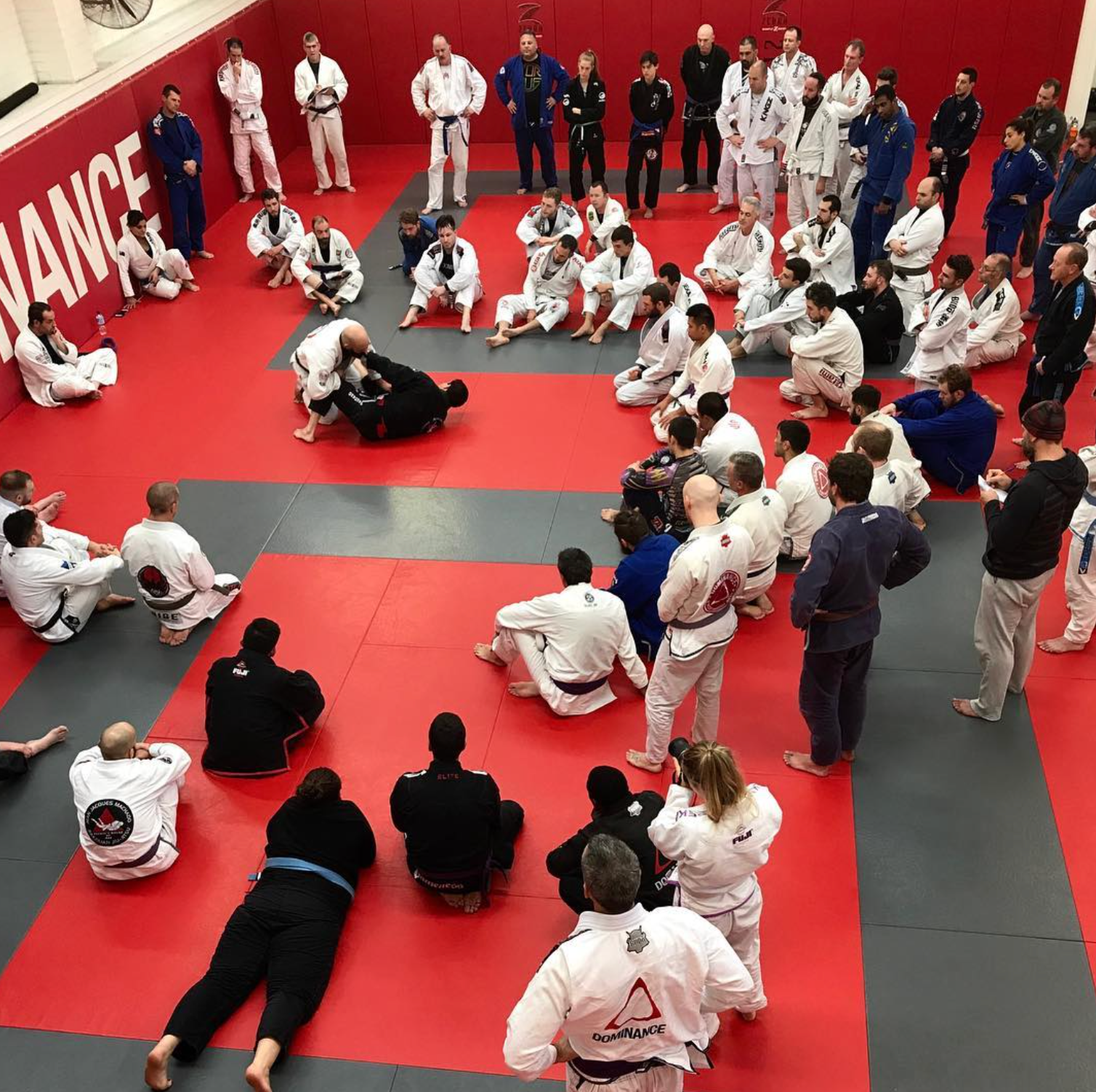 Adults practicing Brazilian Jiu-Jitsu drills at Jean Jacques Machado Jiu-Jitsu Fresno in Fresno, CA for fitness and confidence.