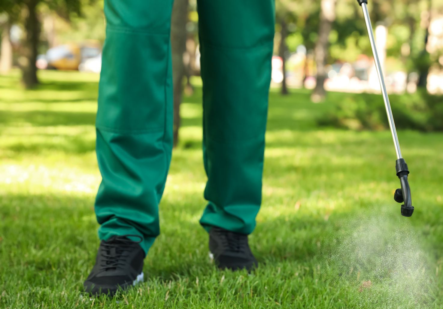 Person in green pants spraying lawn with herbicide.