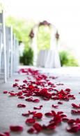 White wedding aisle with red rose petals leading to blurred archway outdoors