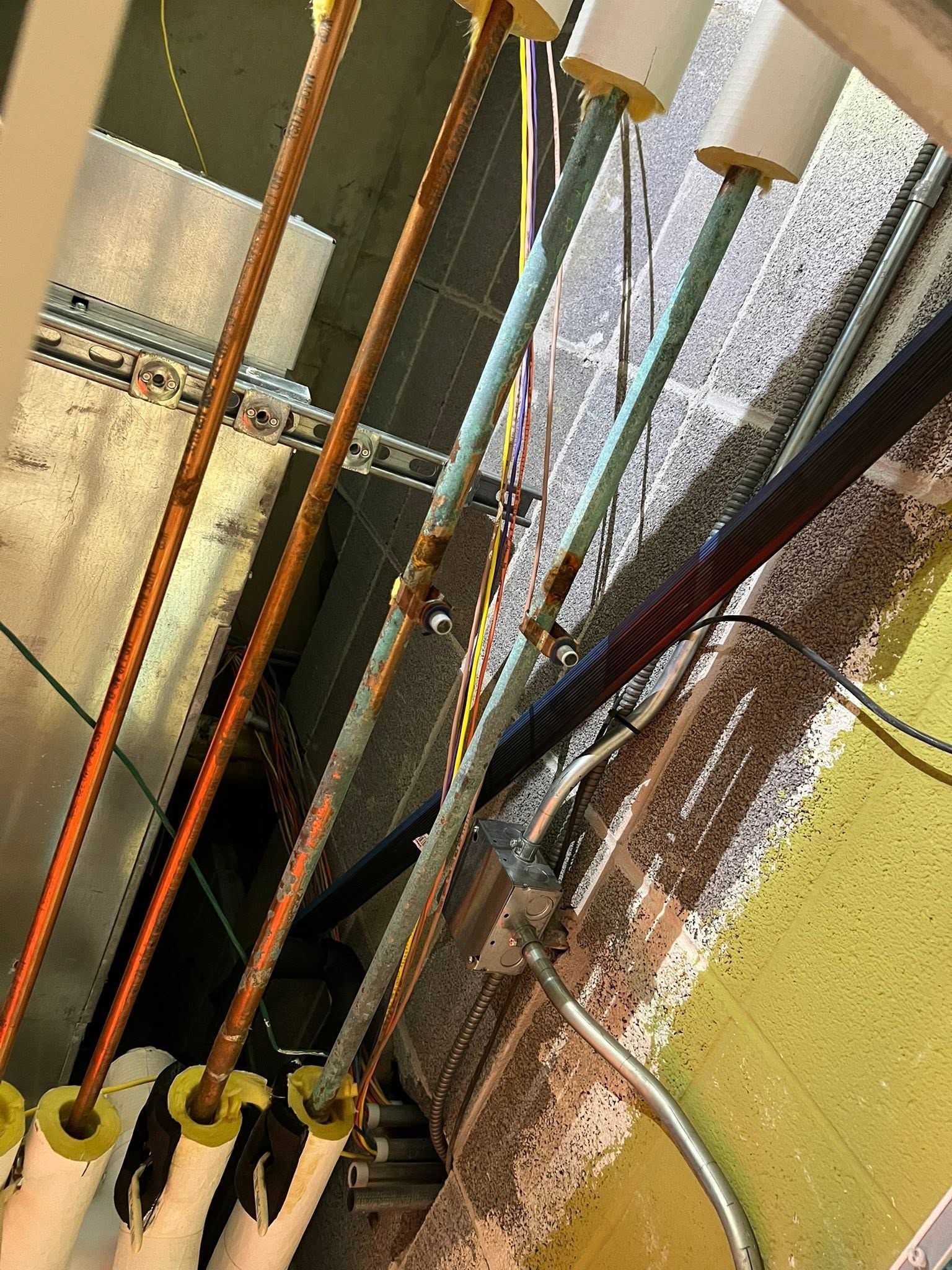 Bundle of fishing rods with colorful lines and hooks leaning against a wall indoors